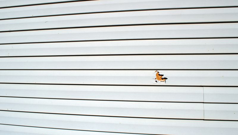 Summer Siding Repair